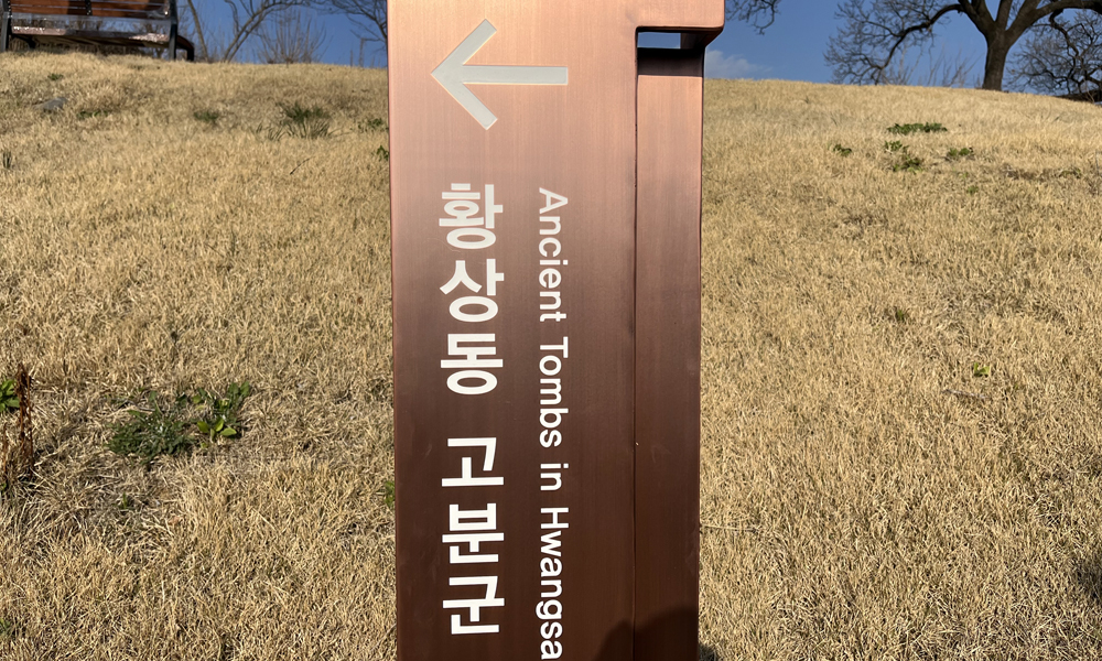 구미 황상동고분군